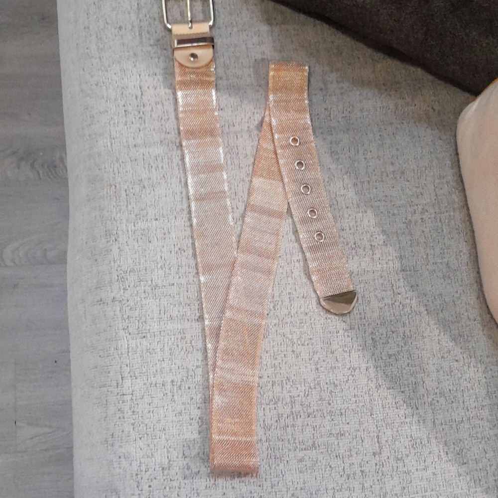 Gold Adjustable Belt with Metallic Hardware